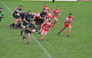 5ad990253b2ad_DSC1498.JPG