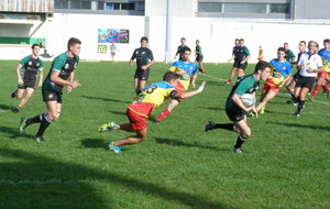 5bc310415bea4_P1140969.JPG