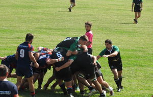 5d83dc2fd789f_DSCN6006.JPG