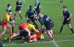5dcb0849c17ff_DSC7413.JPG