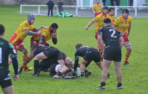 US LISLOISE - SGSC 