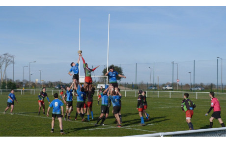 Les résultats des Cadets et Juniors - 09/02/19